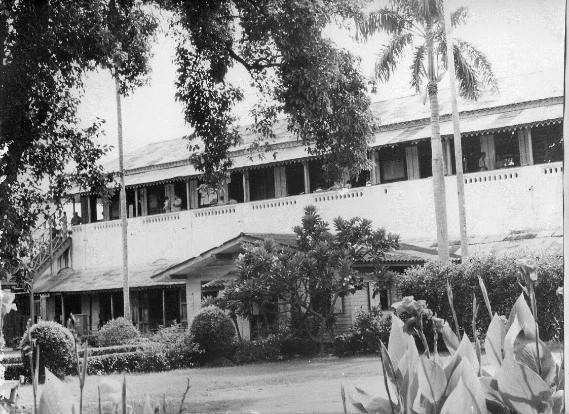 p1.jpg